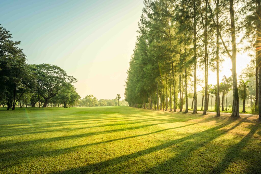 are golf courses bad for the environment