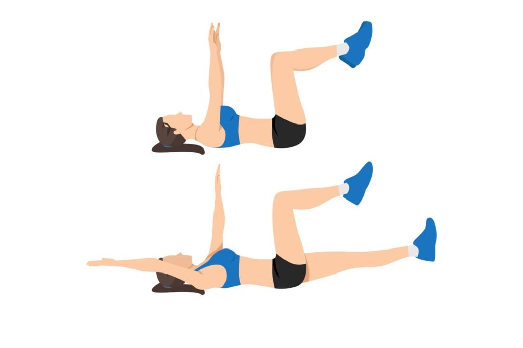 dead bug demonstration 