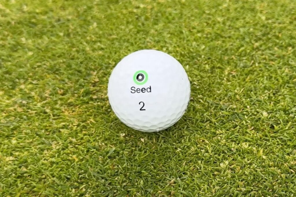 best seed golf balls 2025