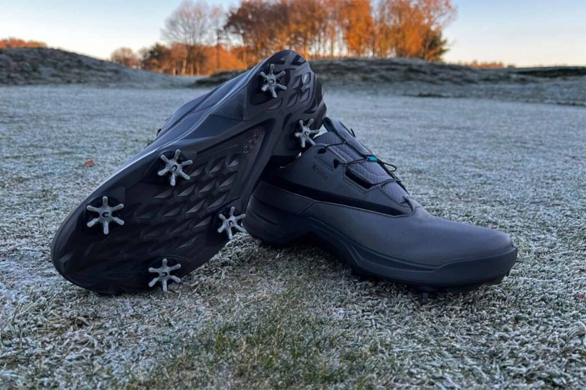 best Ecco golf shoes 2025