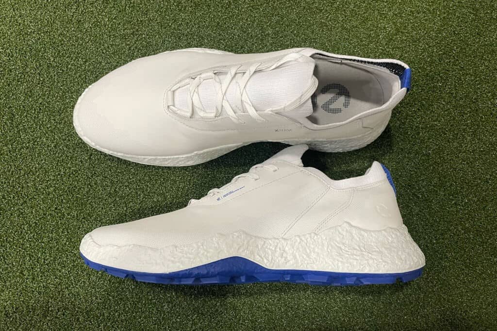 best Ecco golf shoes 2025