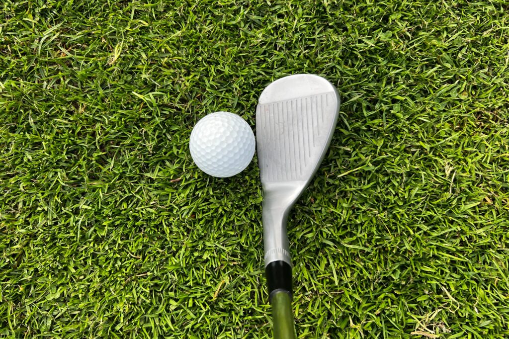 Rife SCS1 Wedge Review