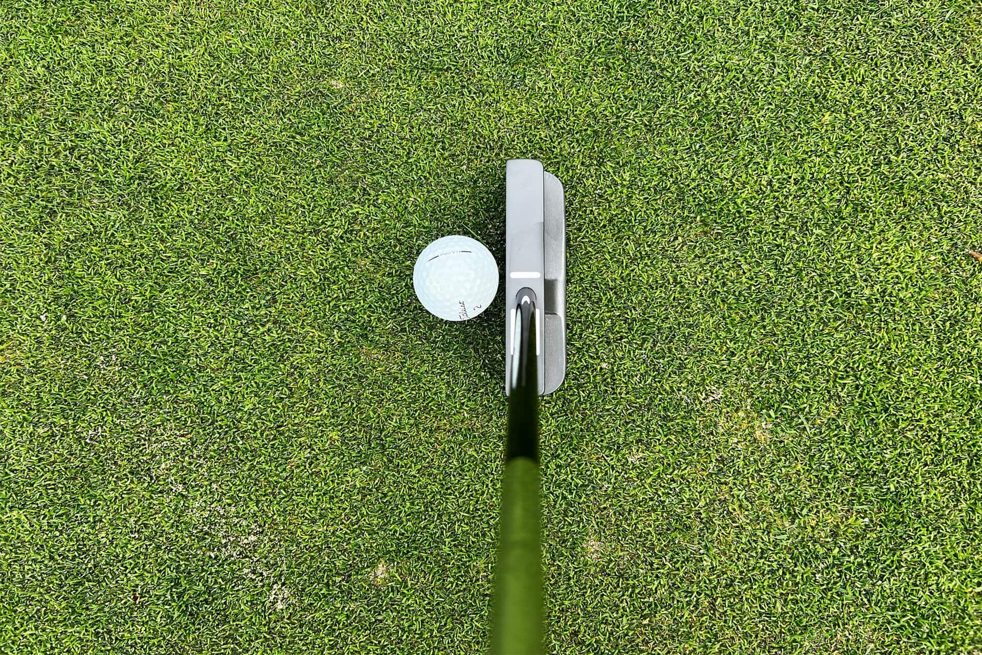 seemore fgp putter review