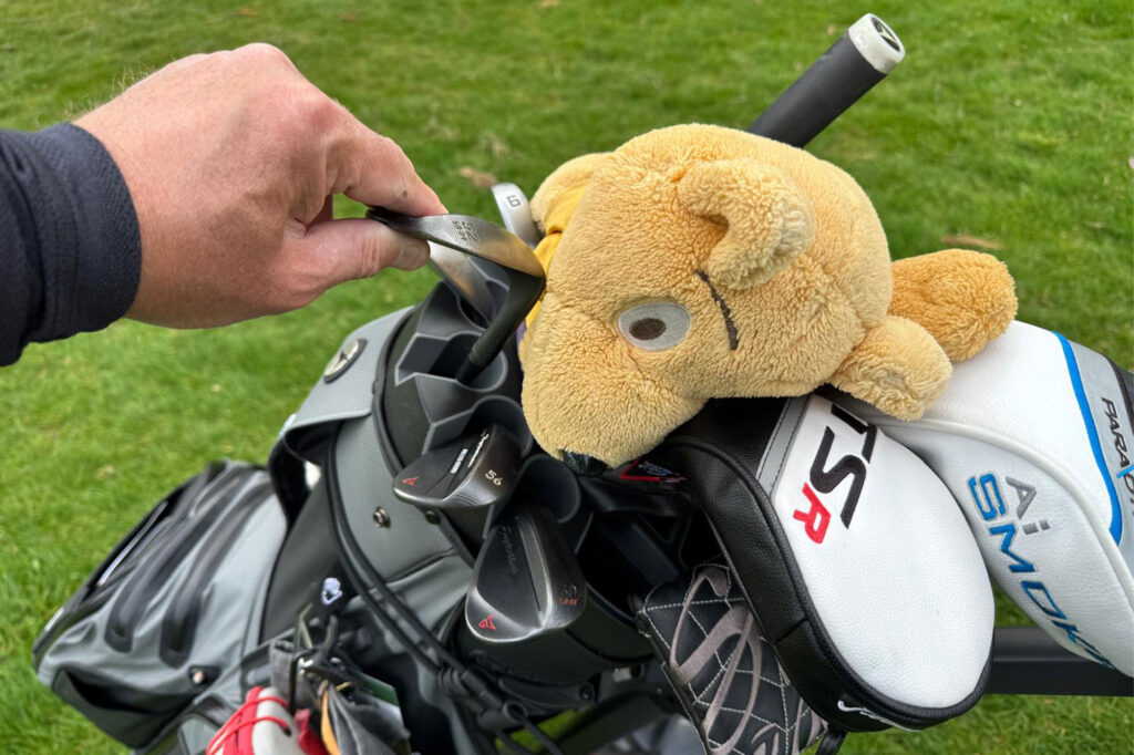 motocaddy protekta golf cart bag review