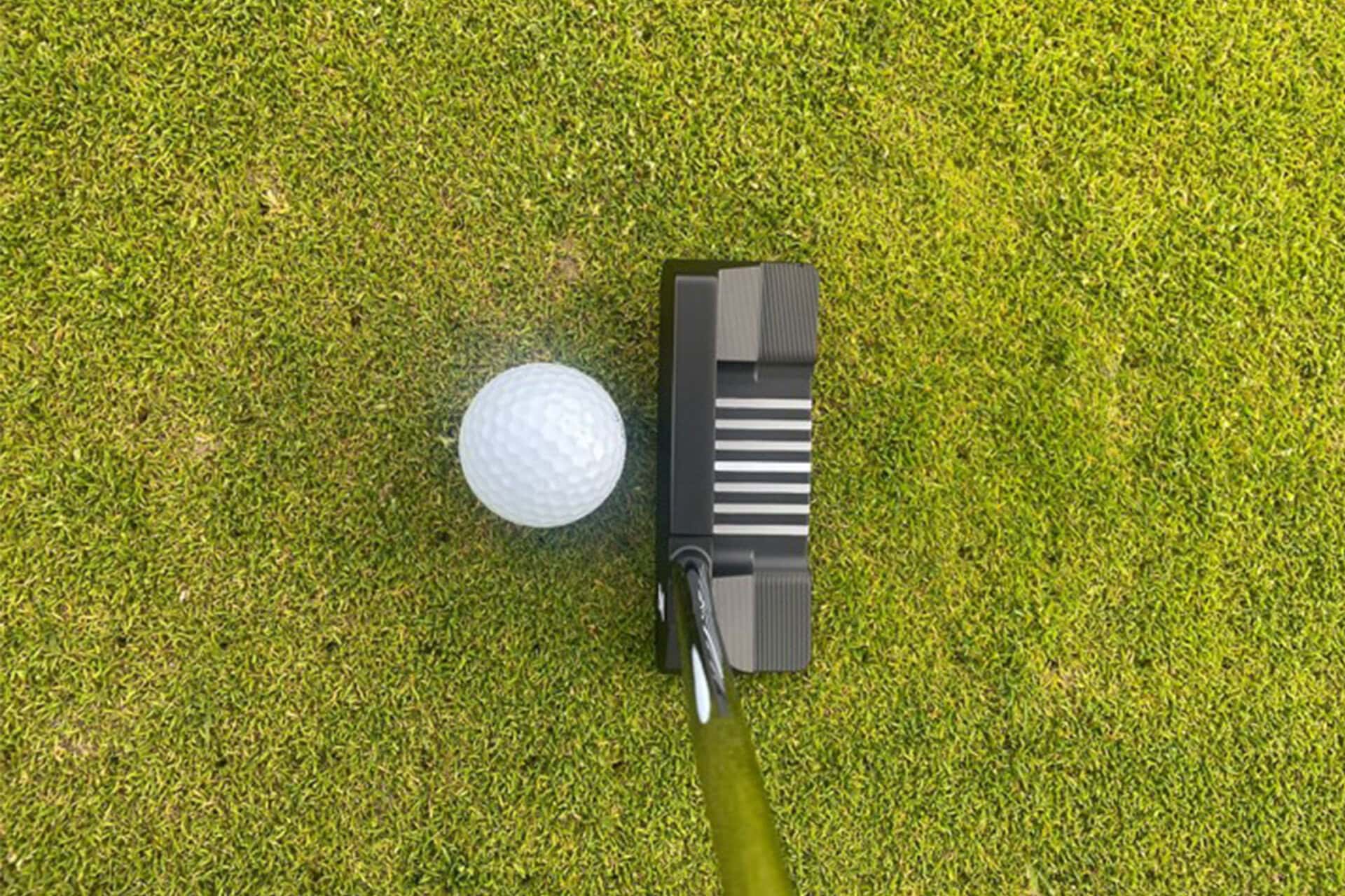 Zebra Milled Series 003 Putter Review