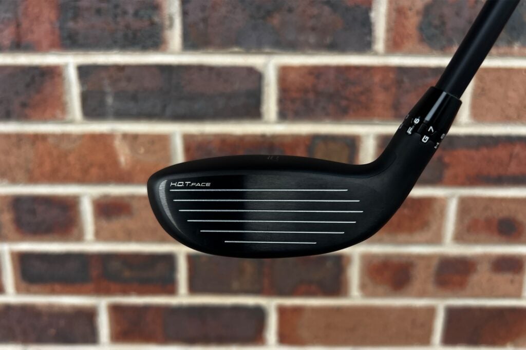 Cobra DS-Adapt Hybrid