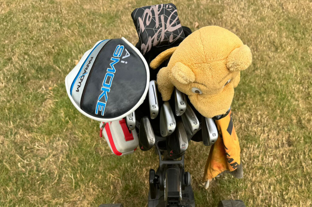 taylormade signature cart bag review