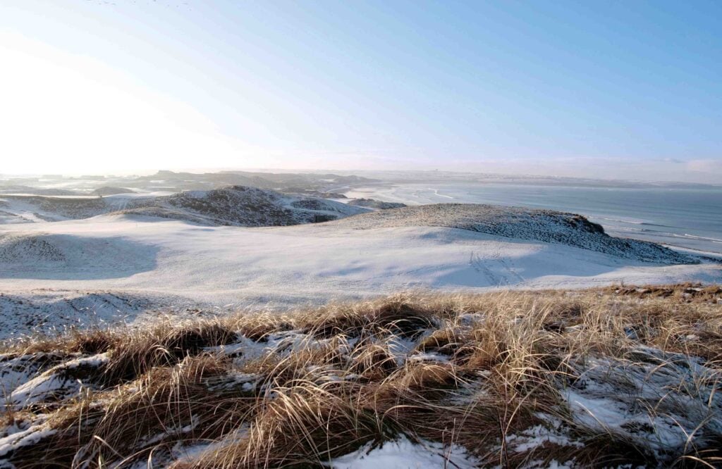 does frost damage golf greens