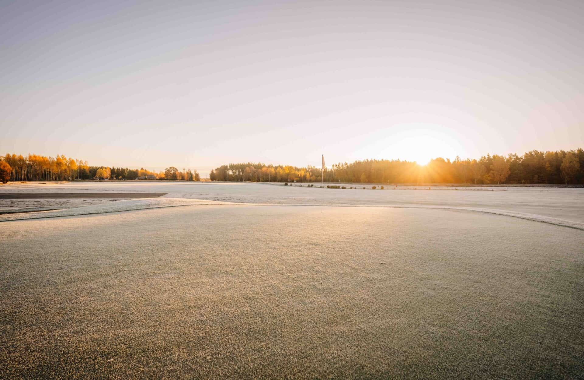 does frost damage golf greens