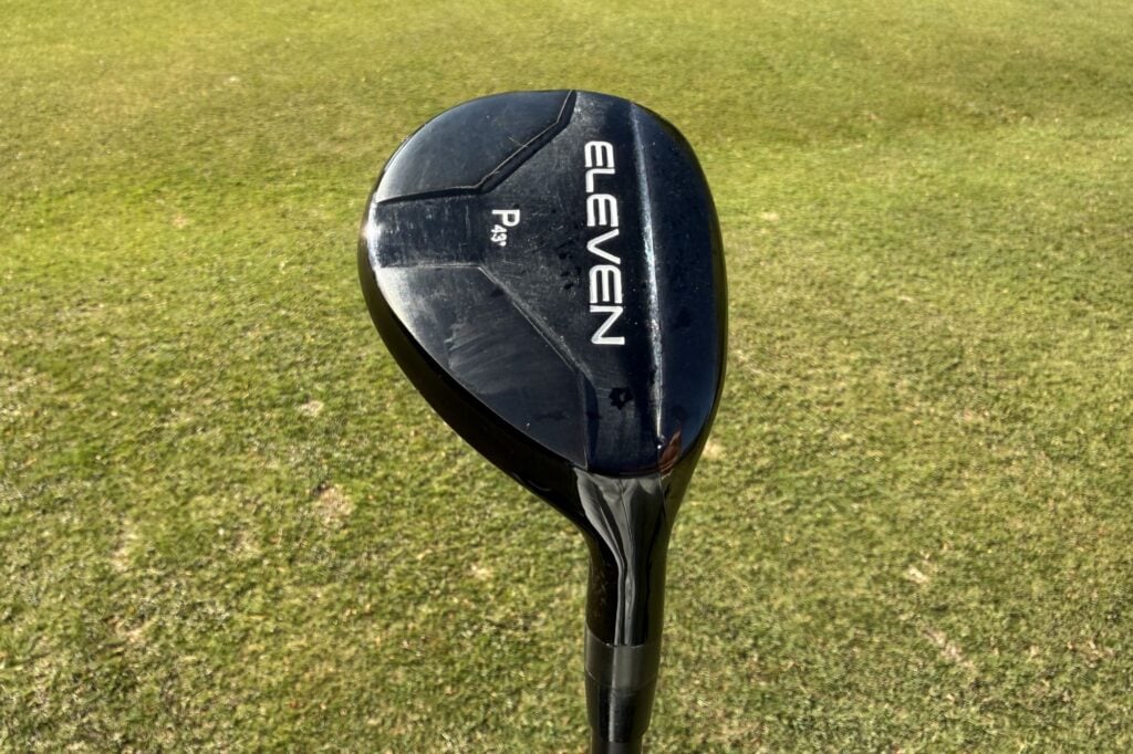 Eleven Hybrids | Source: NCG