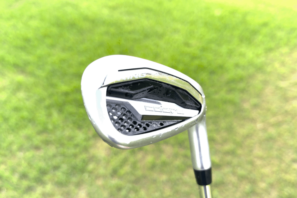 Cobra King 3DPx Irons