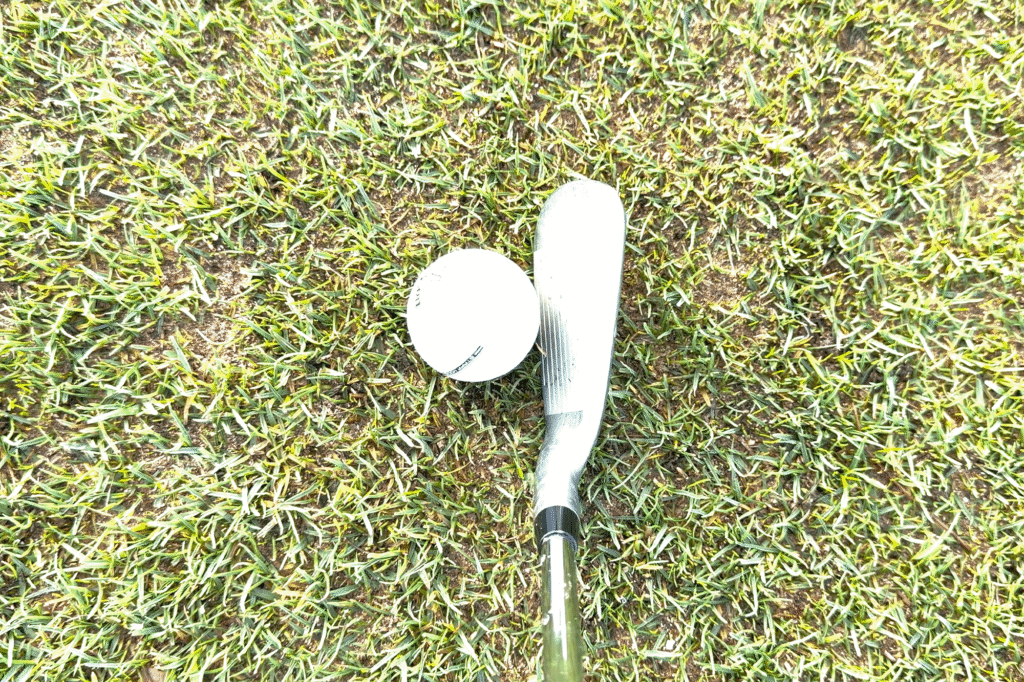 Cobra King 3DPx Irons