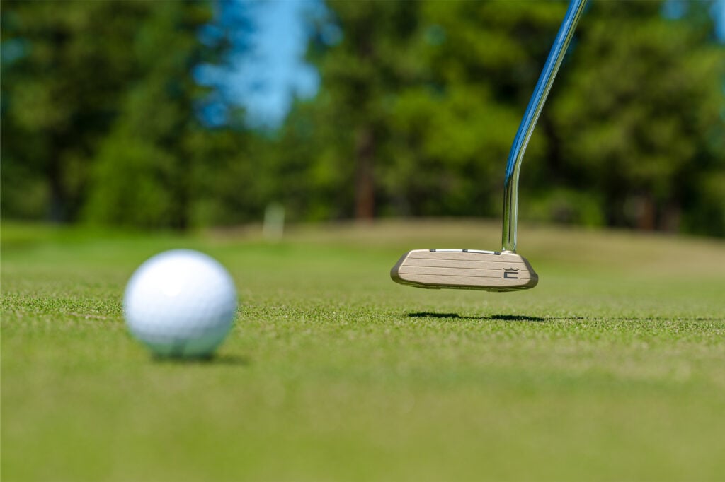 Cobra 3DP Tour Putters