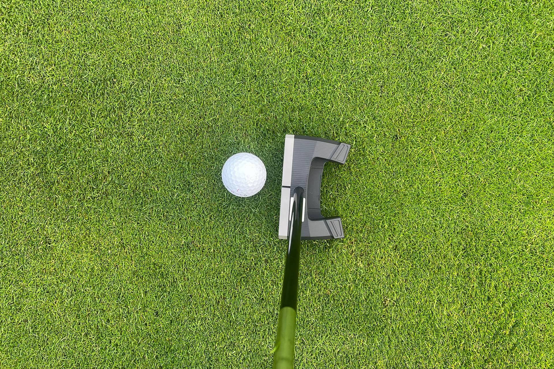 SeeMore SBx putter red dot | Source: NCG