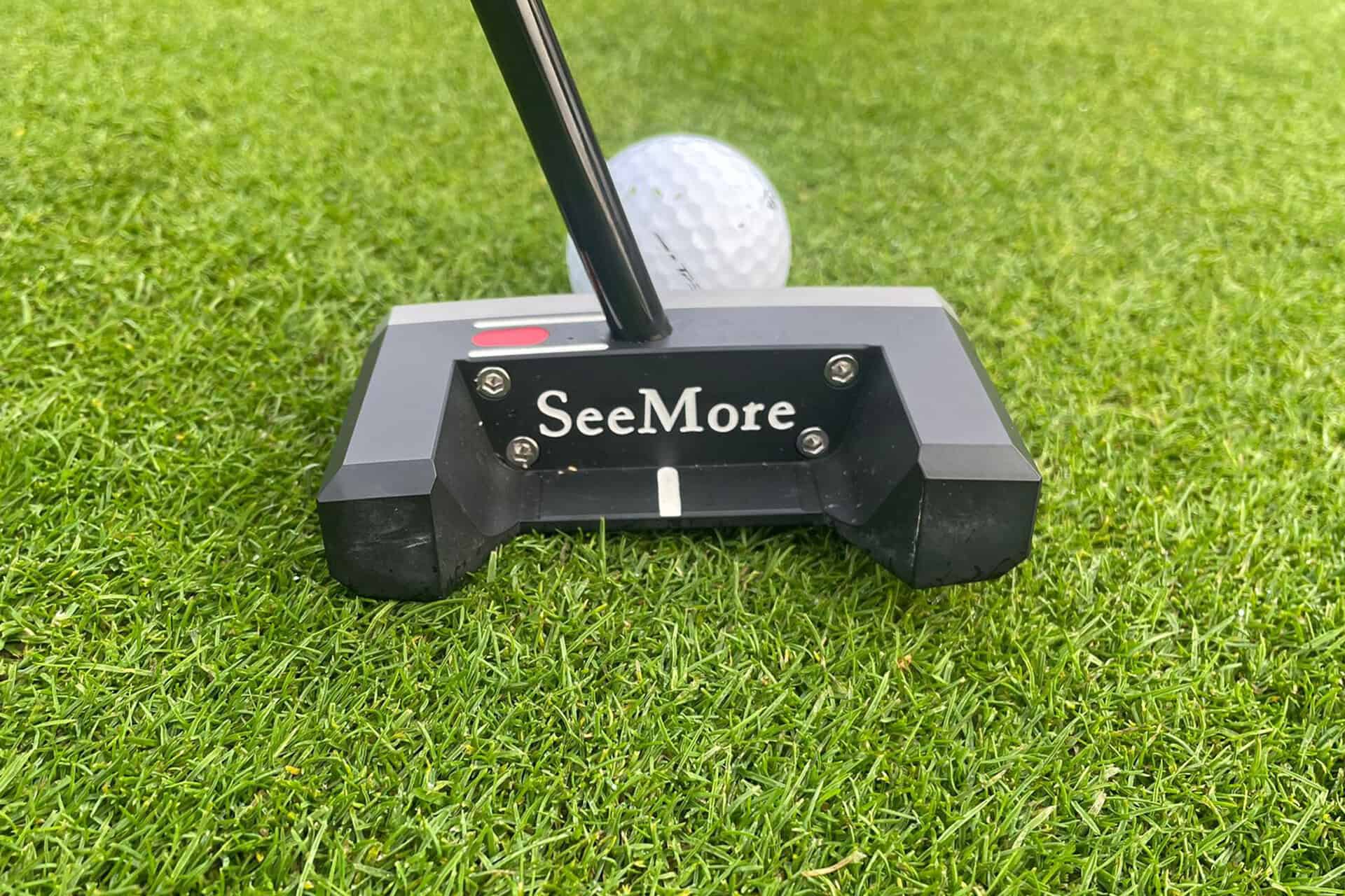 SeeMore SBx putter behind the ball | Source: NCG