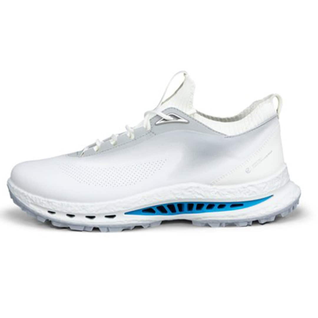 Ecco Golf Biom H5 golf shoe | Source: ECCO
