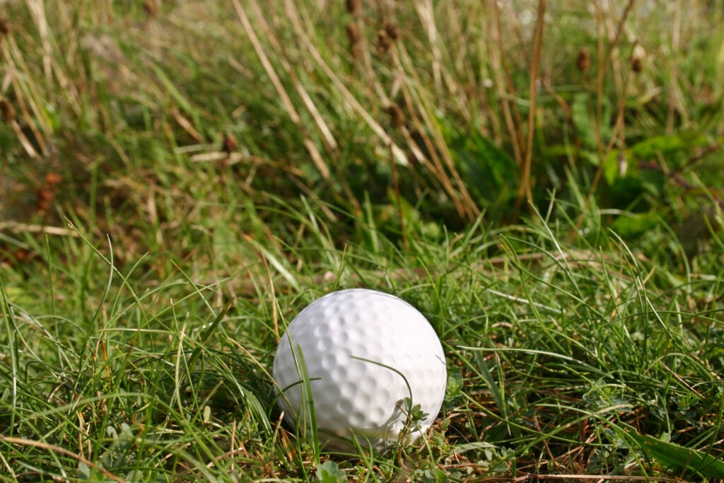A golf ball close to long grass in the rough | Source: Adobe Stock can you flatten grass out of bounds
