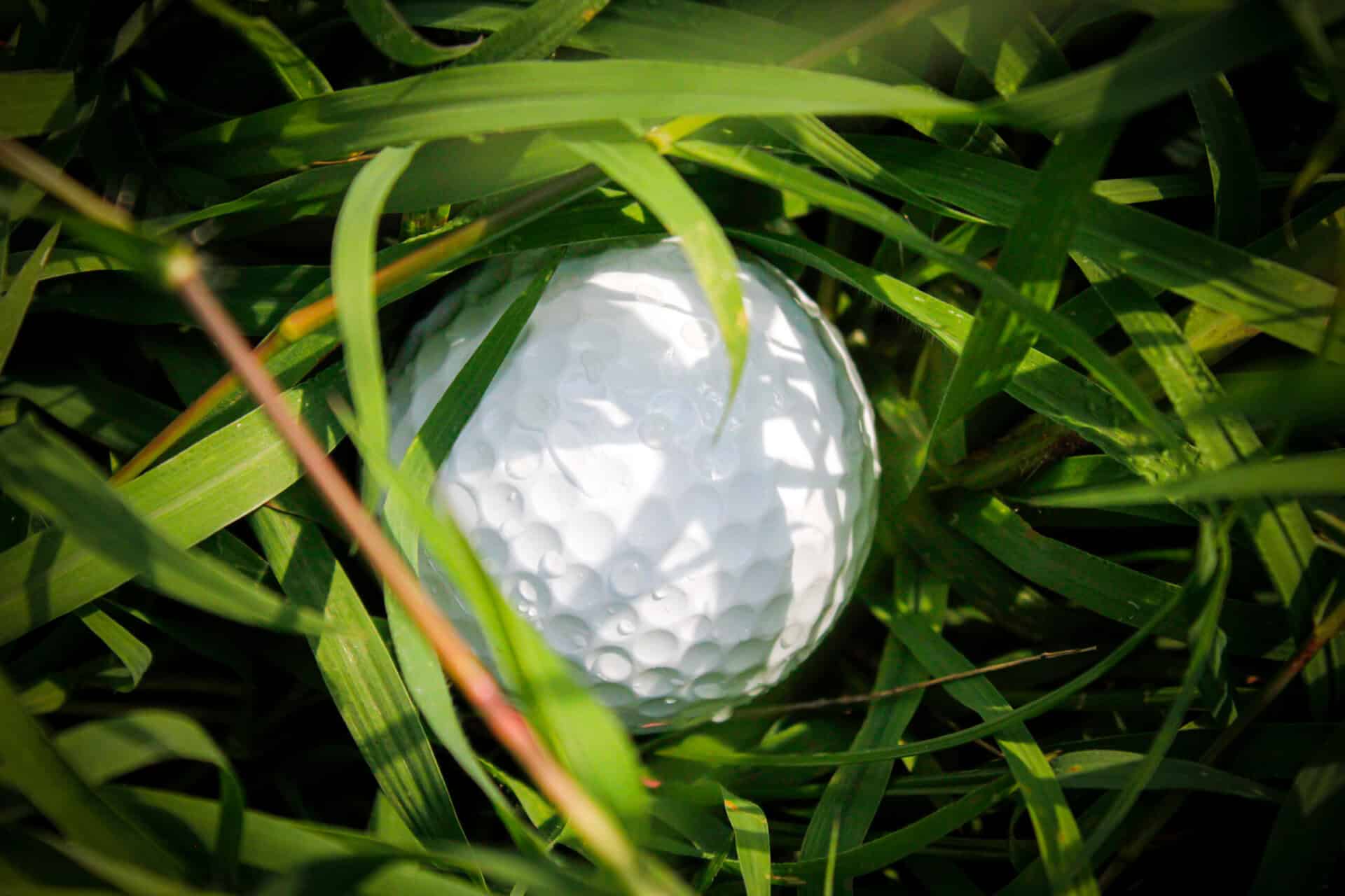 A golf ball lying in long grass | Source: Adobe Stock