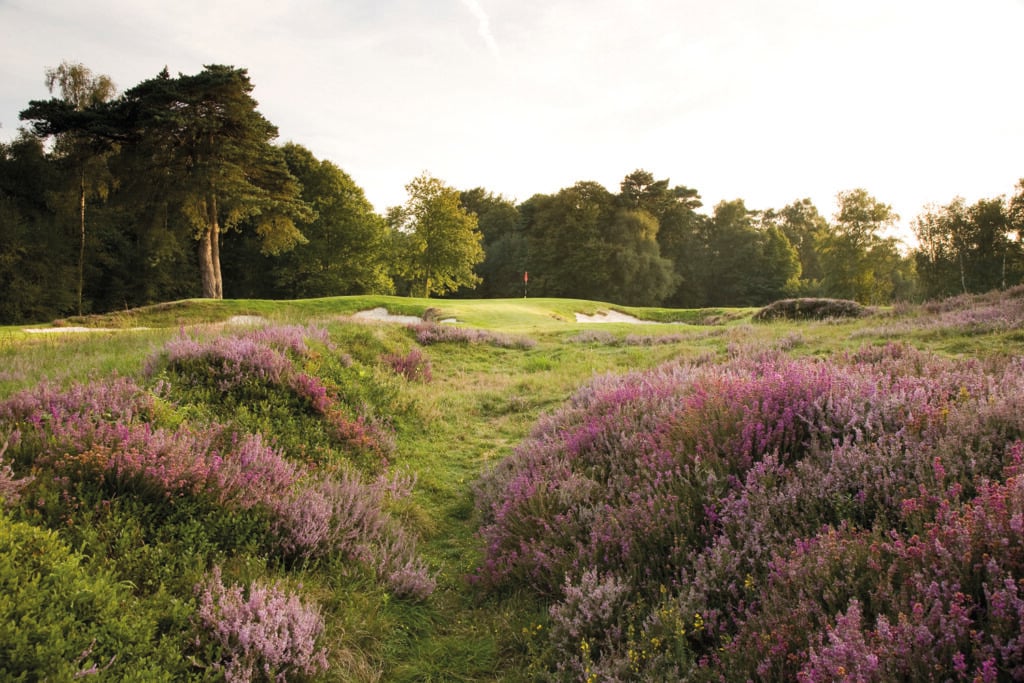The 3rd hole at Liphook | Source: Supplied