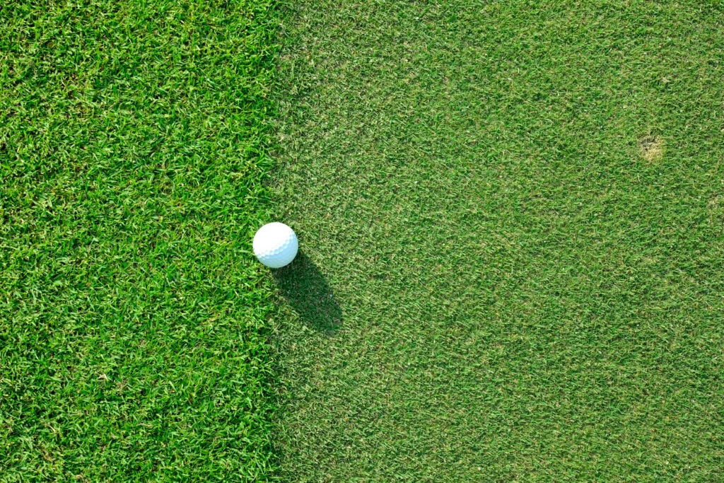Is it on the green or isn't it? A ball sits half on and half off the fringe | Source: Adobe Stock is the fringe part of the green?