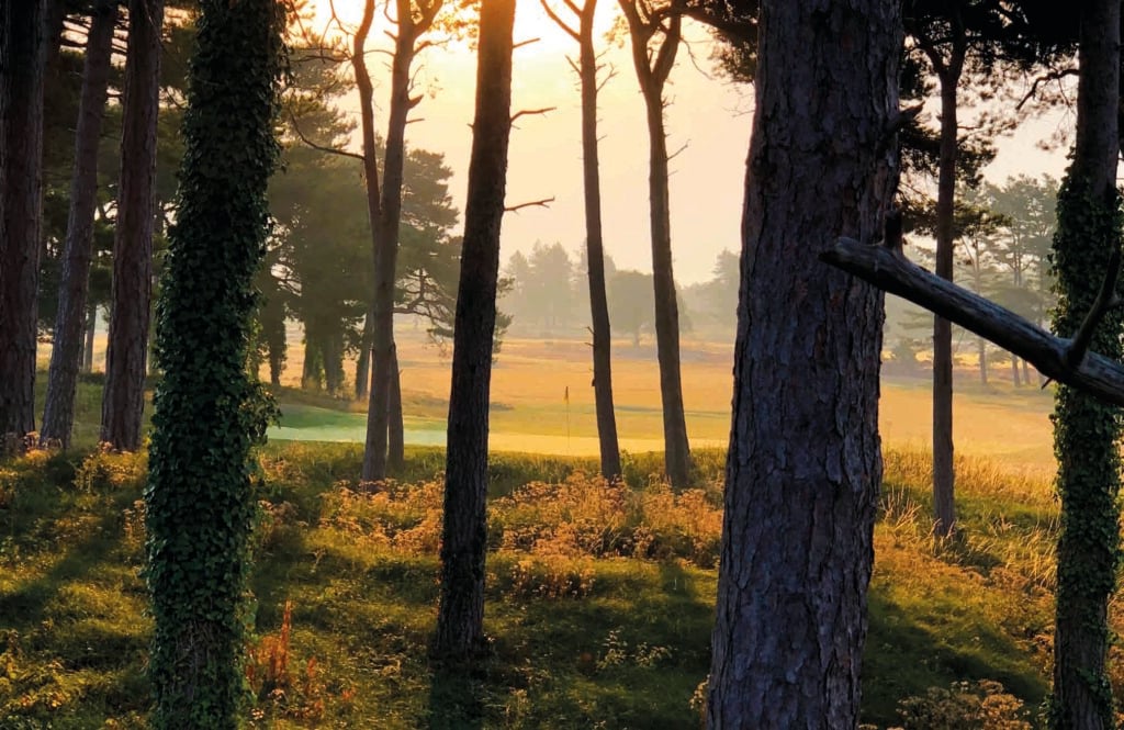 The 4th hole at Formby Ladies | Source: Formby Ladies