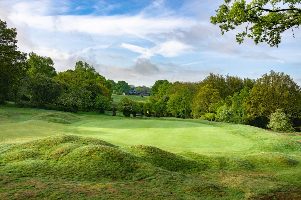 Berkhamsted's greens are hardly defenceless | Source: Andy Hiseman
