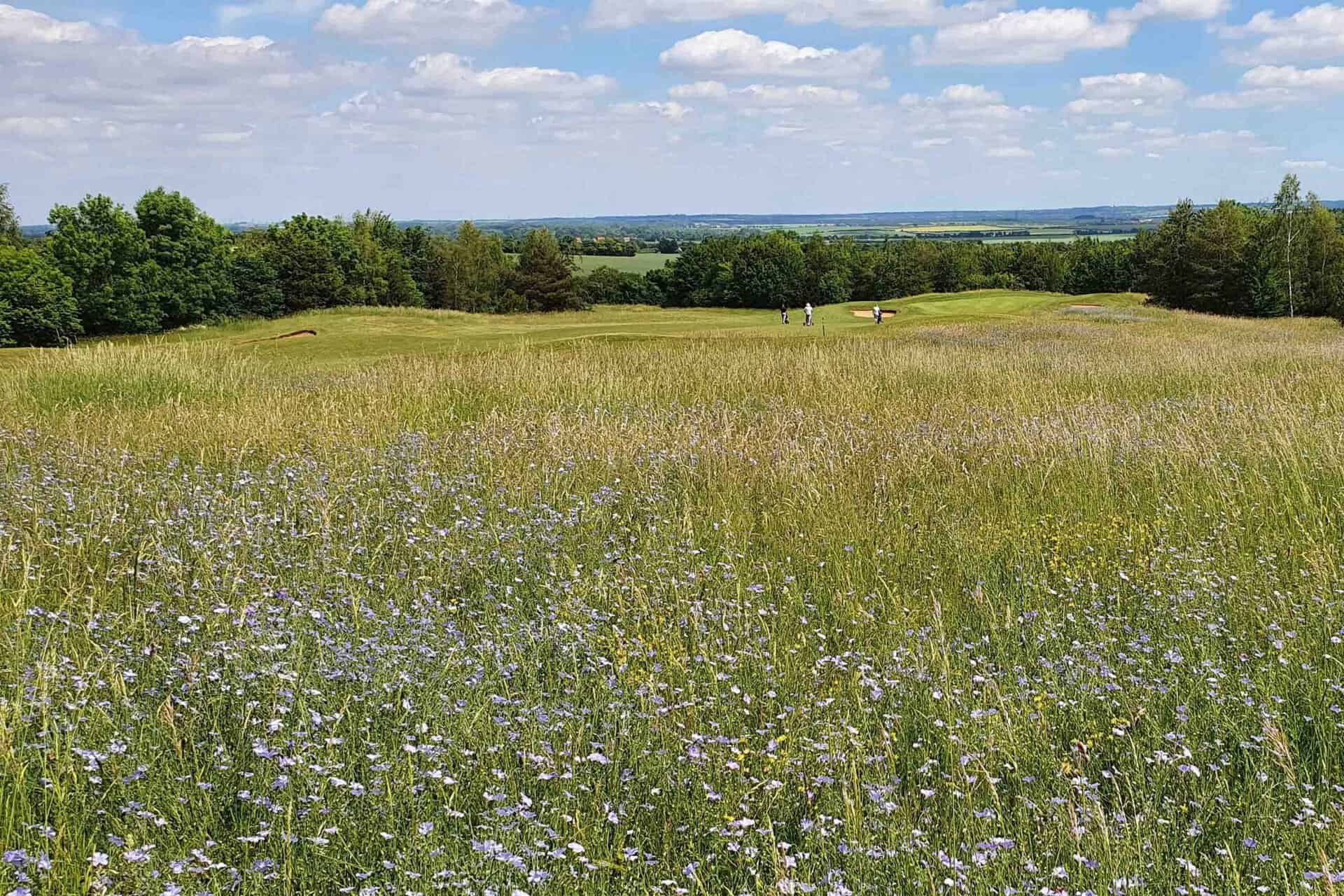 Golf courses can be havens for ecosystems of wildlife | Source: Supplied 8 things people get wrong about golf courses
