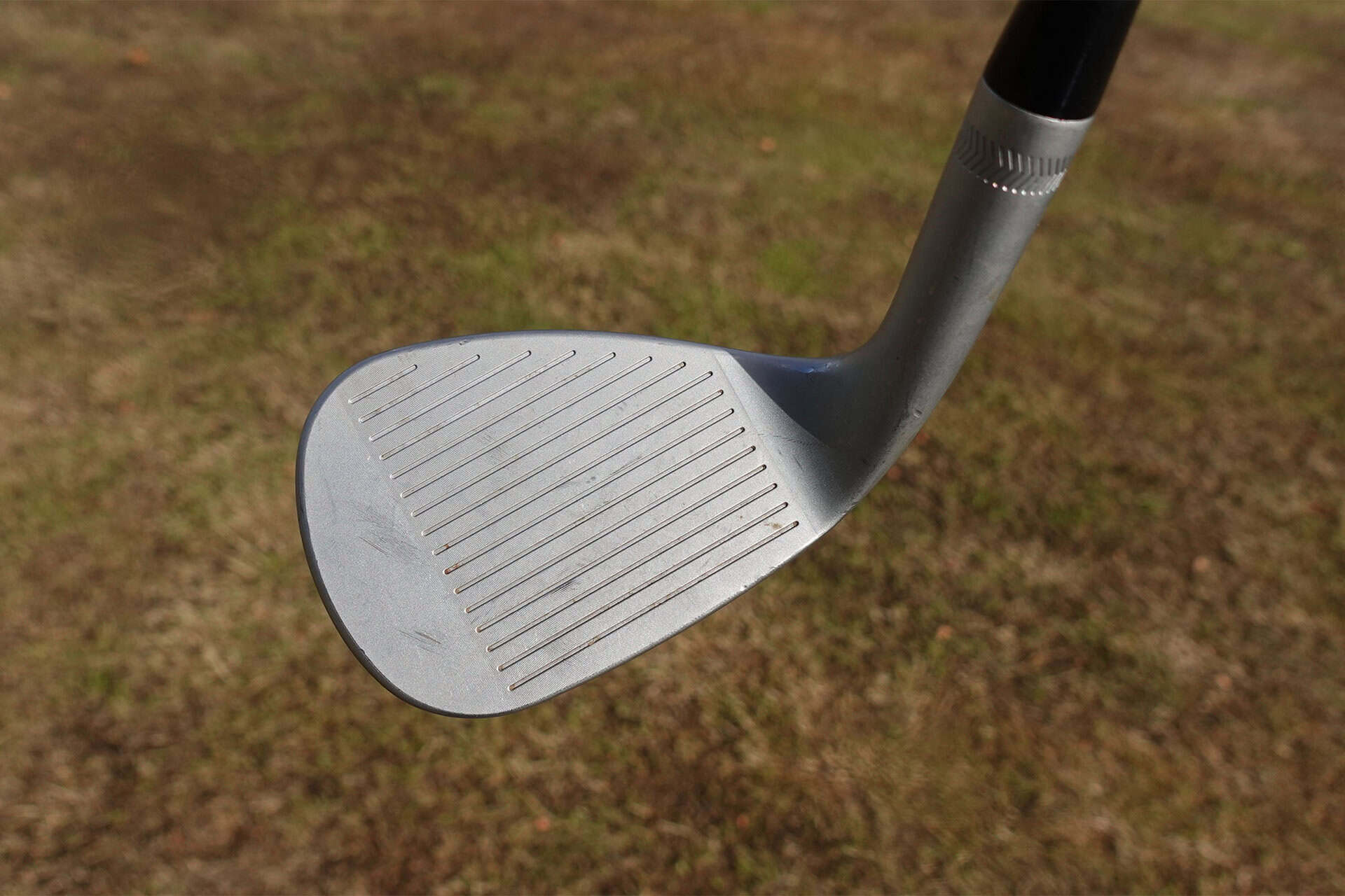 PXG Sugar Daddy III face | Source: NCG