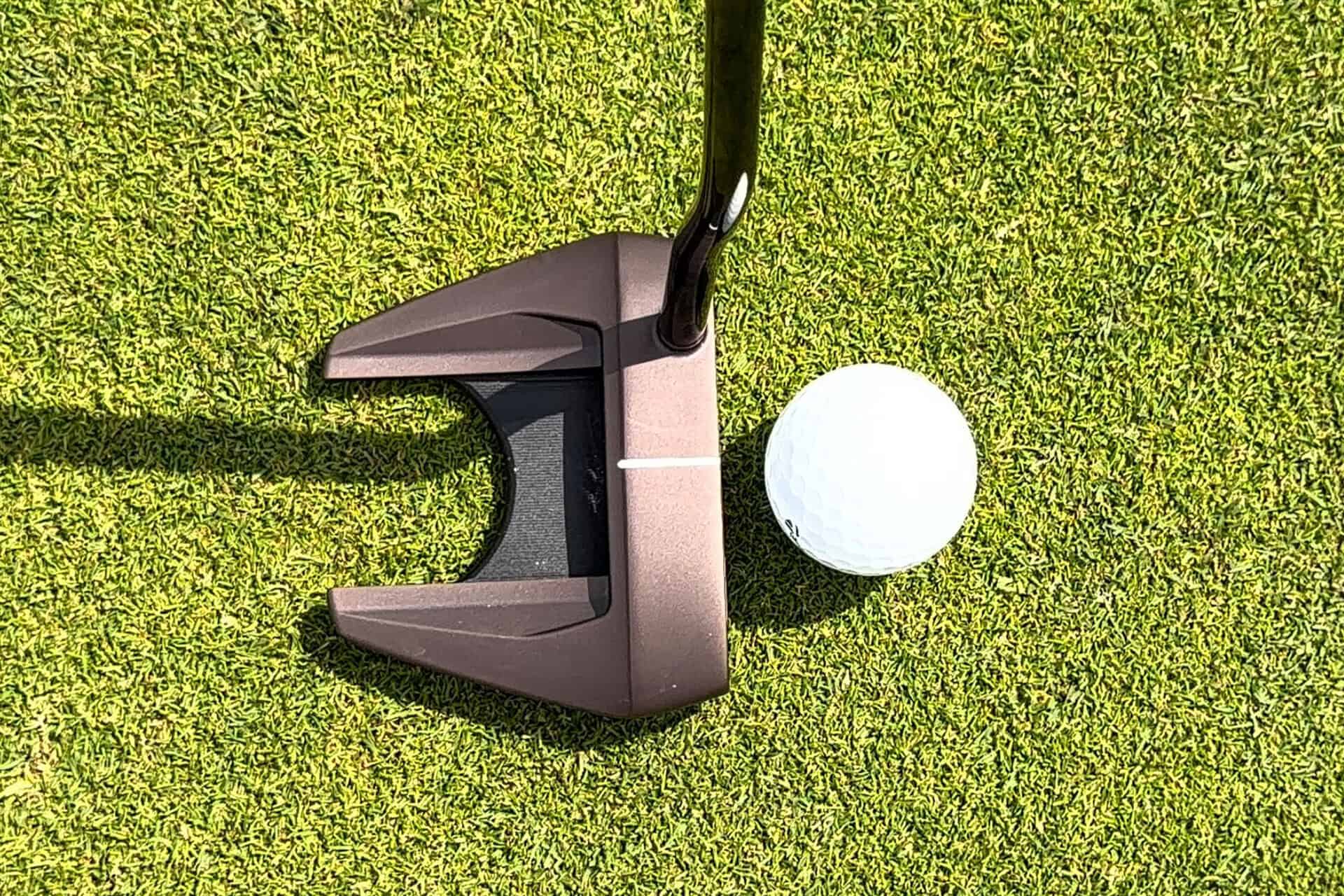 TaylorMade Spider Tour F Torched putter at address | Source: NCG