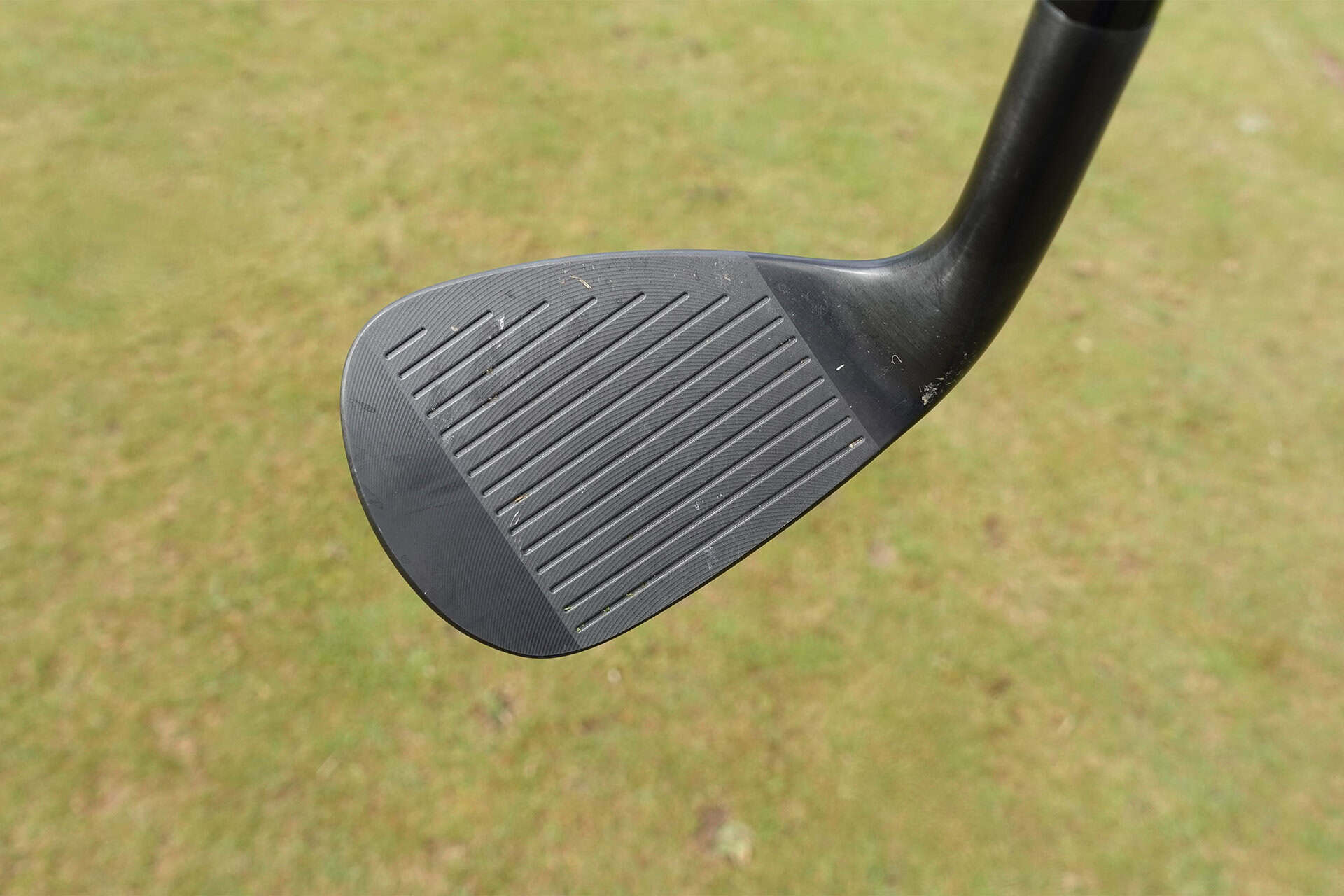 Wilson Infinite wedge face | Source: NCG