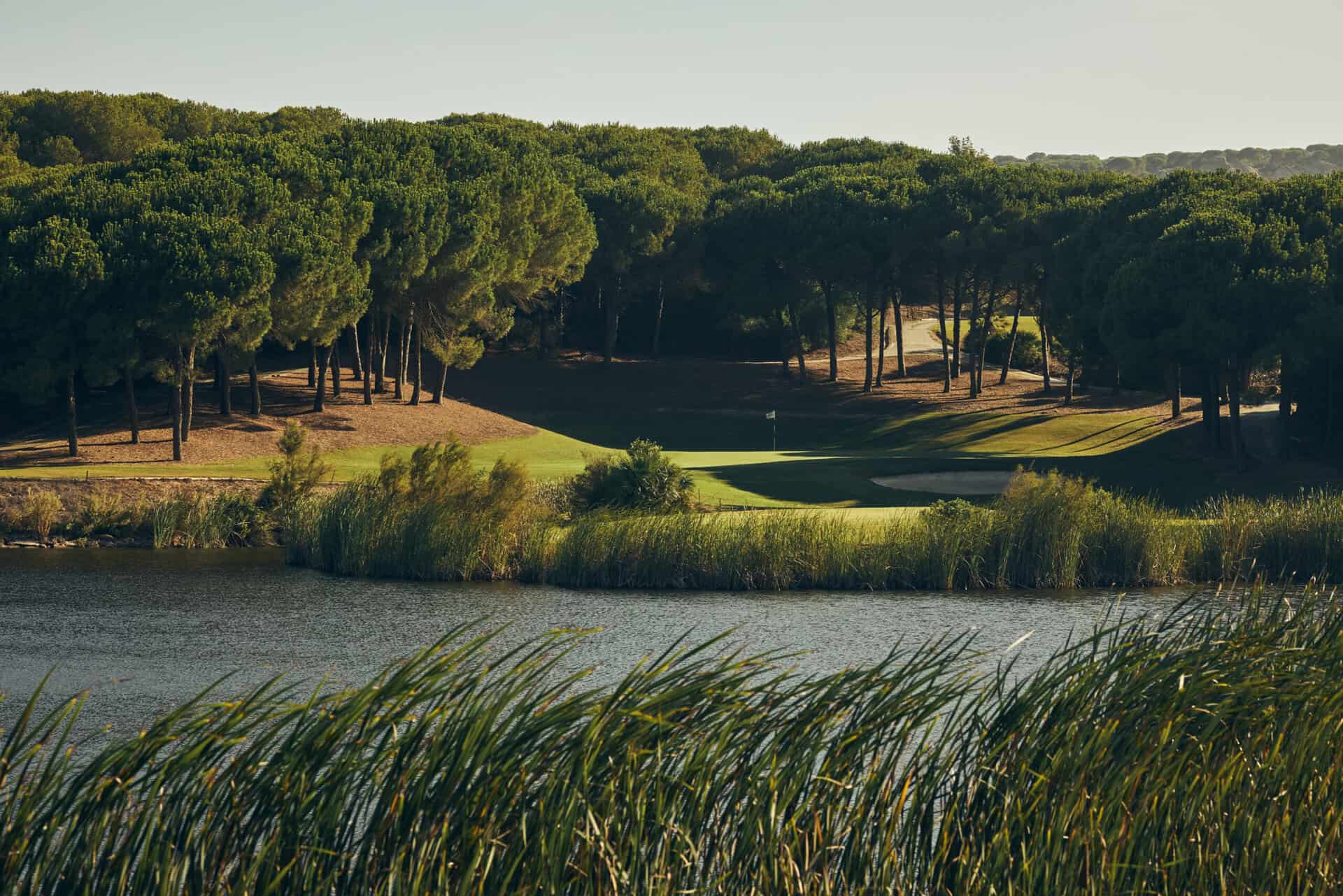 The Alto Course at Sotogrande | Source: Sotogrande/GMS