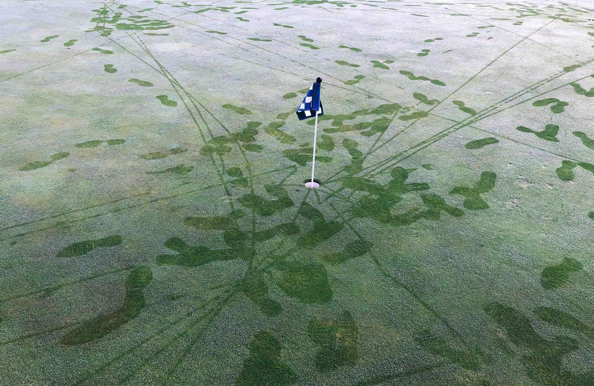 Footprints on a green laden with dew | Source: Adobe Stock dew on the green